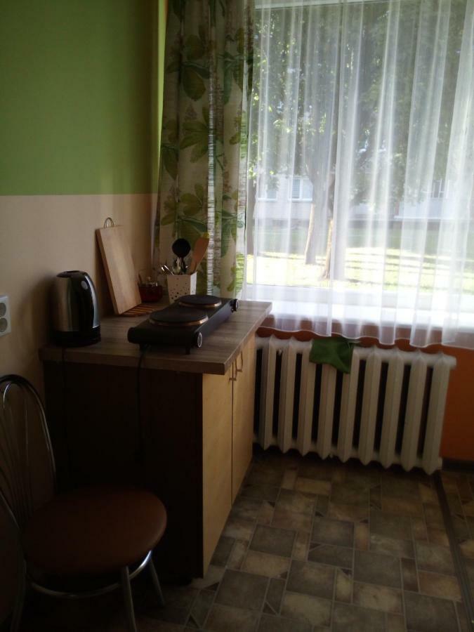 AnykščiaiAnykstuko Butasアパートメント エクステリア 写真